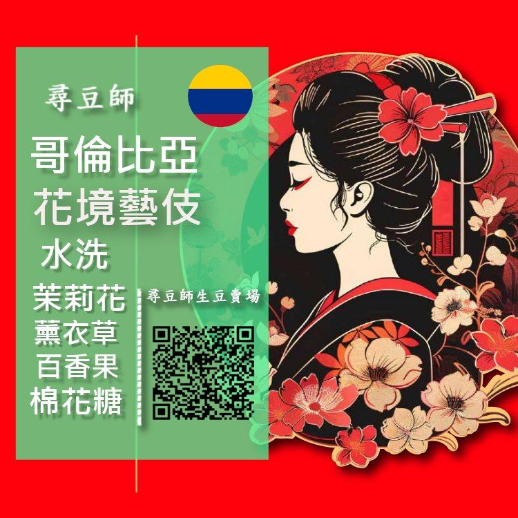 哥倫比亞 花境藝伎 水洗