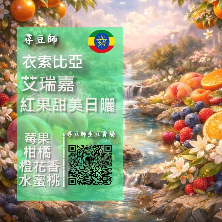 衣索比亞 耶加雪菲 艾瑞嘉 紅果甜美日曬