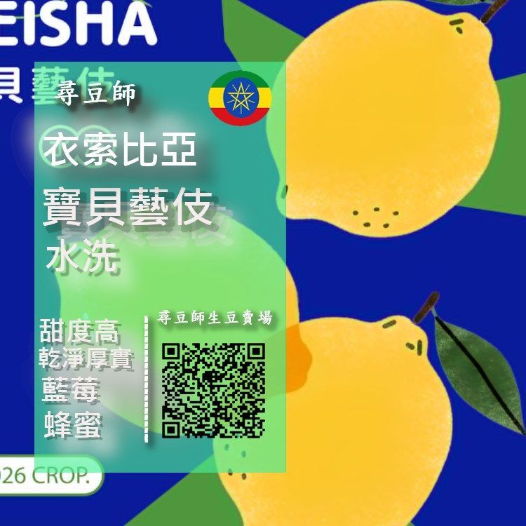 衣索比亞 寶貝藝伎 水 洗