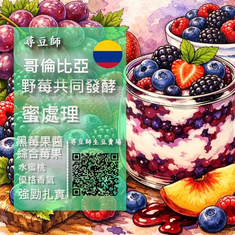 哥倫比亞 娜玲瓏 黑莓_野莓共同發酵 蜜處理