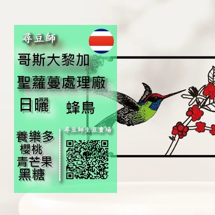 哥斯大黎加 聖羅曼處 理廠 蜂鳥 日曬