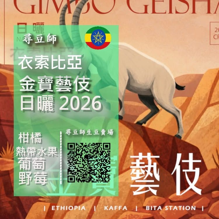 衣索比亞 金寶藝伎 日曬 2026