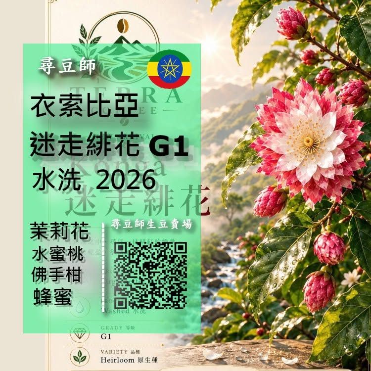 衣索比亞 耶加雪琲 迷走緋花 G1 水洗 2026
