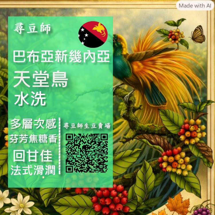 巴布亞新幾內亞 天堂鳥 水洗