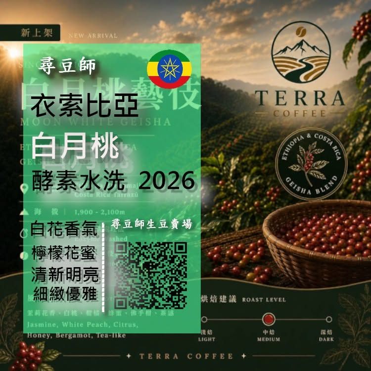 衣索比亞 白月桃藝伎 酵素水洗