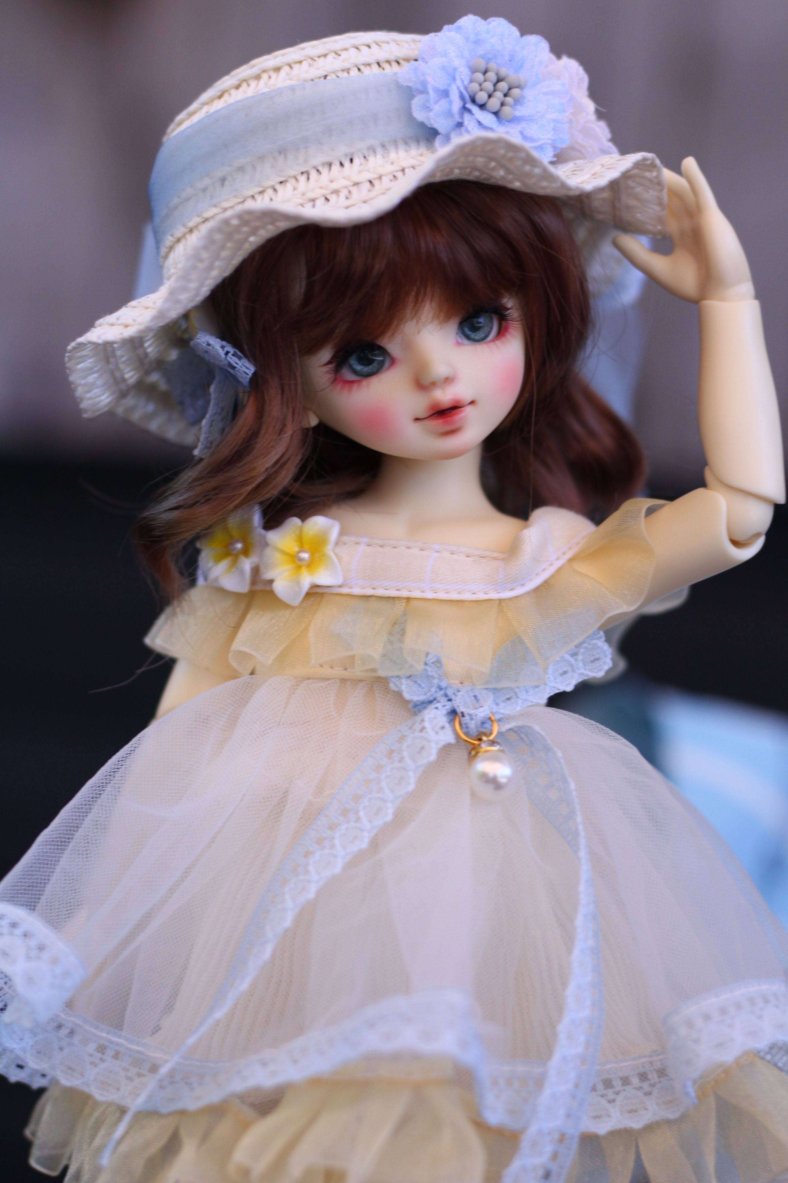 6分/塔塔-迎春花-藍