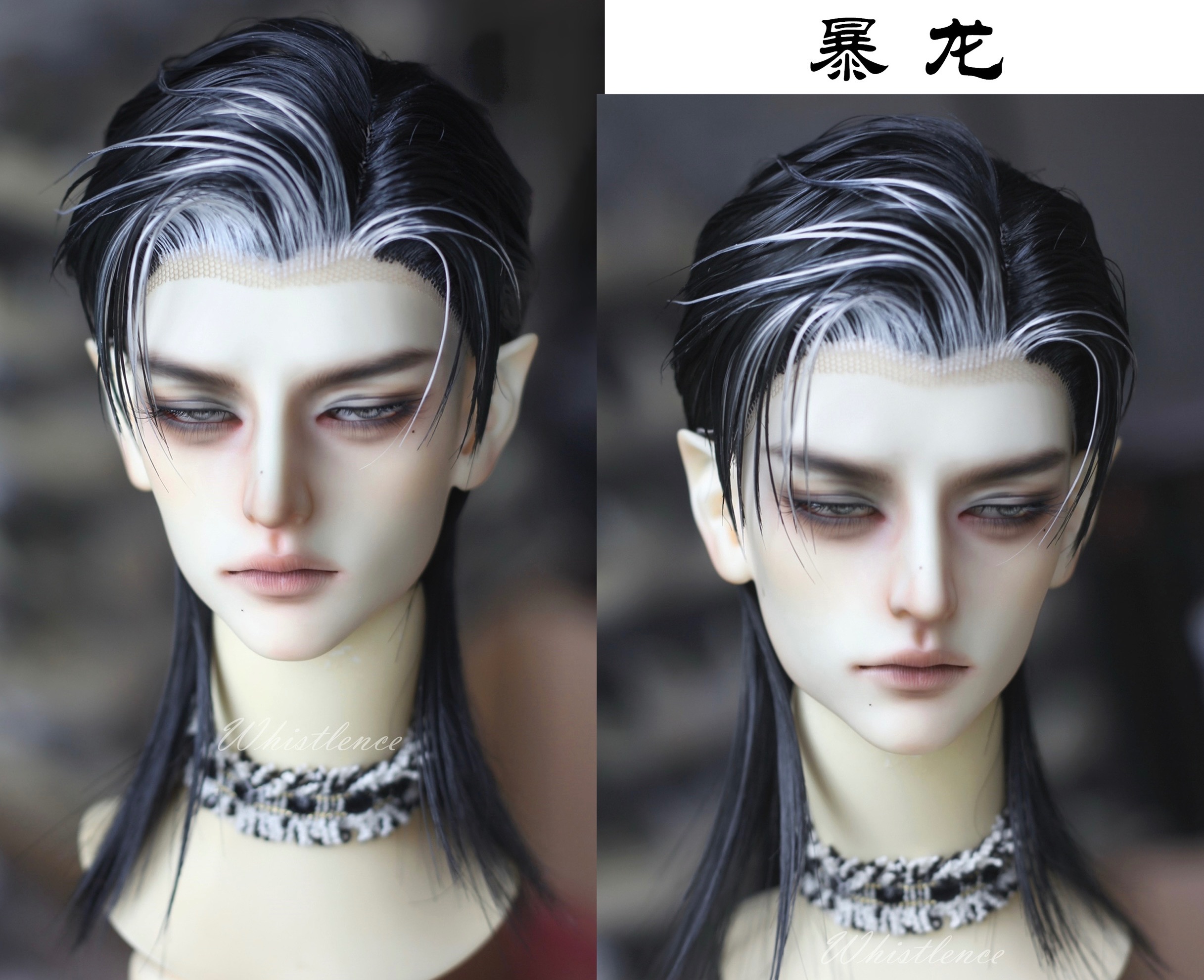 22-24cm/WhistLence-暴龍