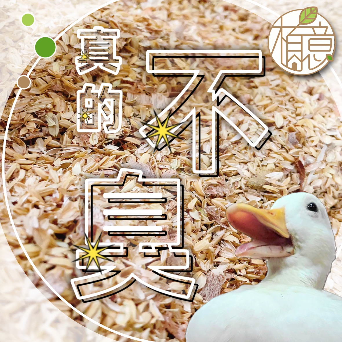 【發酵床】寵物雞 柯爾鴨 蘆丁雞 發酵床墊料 稻穀粗糠 木屑 EM菌 無味消臭15L