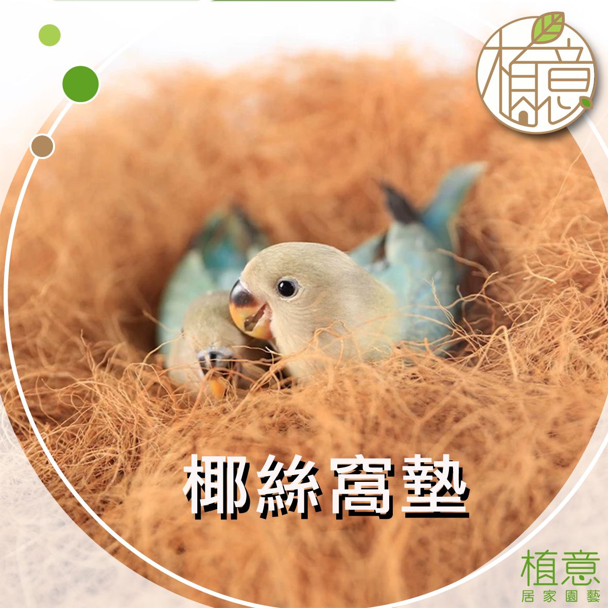 天然椰絲草窩｜窩墊｜鳥窩｜椰纖草絲｜鳥巢｜蘆丁雞｜寵物雞｜蜜袋鼯｜鸚鵡｜倉鼠｜保暖｜過冬｜椰絲｜椰纖｜鋪墊｜墊料｜乾草