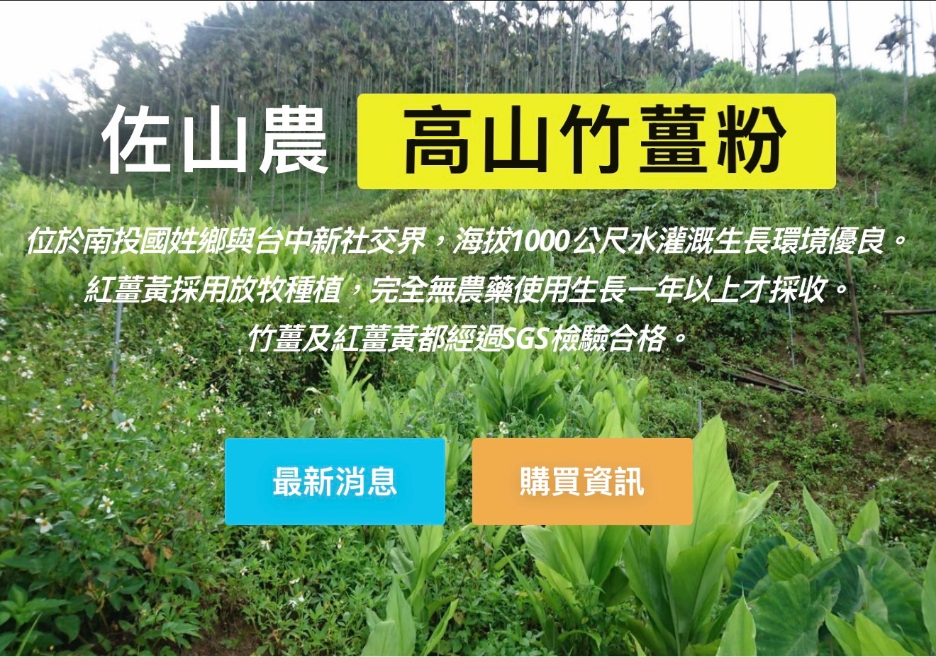 特殊商品下單區-南投高山竹薑片