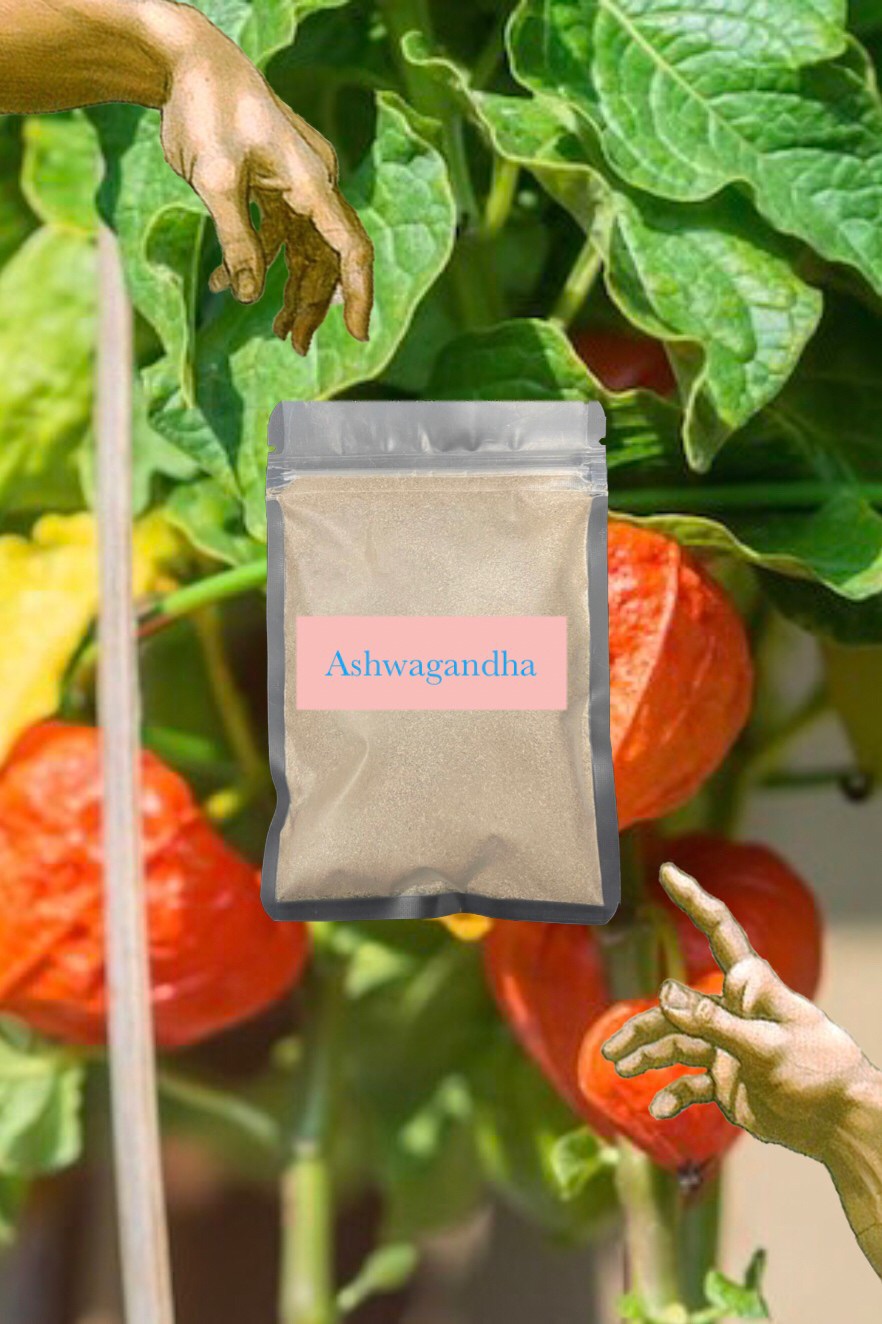 🌟 Ashwagandha 南非醉茄 40g