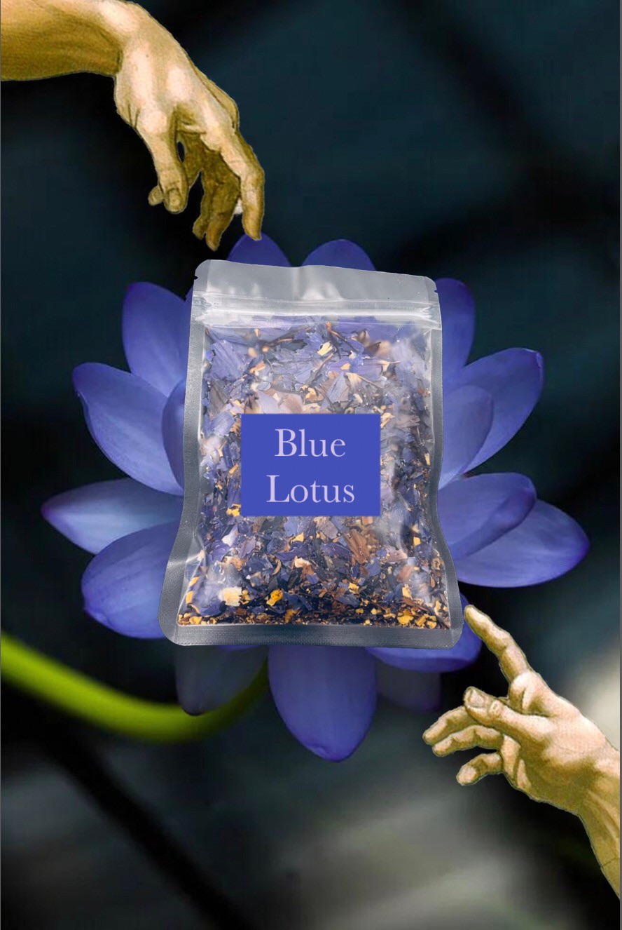 🦋Blue lotus 埃及藍睡蓮 藍蓮花 多規格