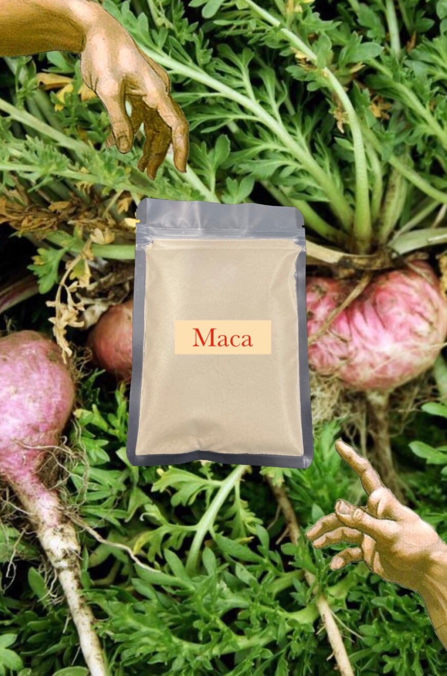 🦾Maca 瑪卡 印加蘿蔔