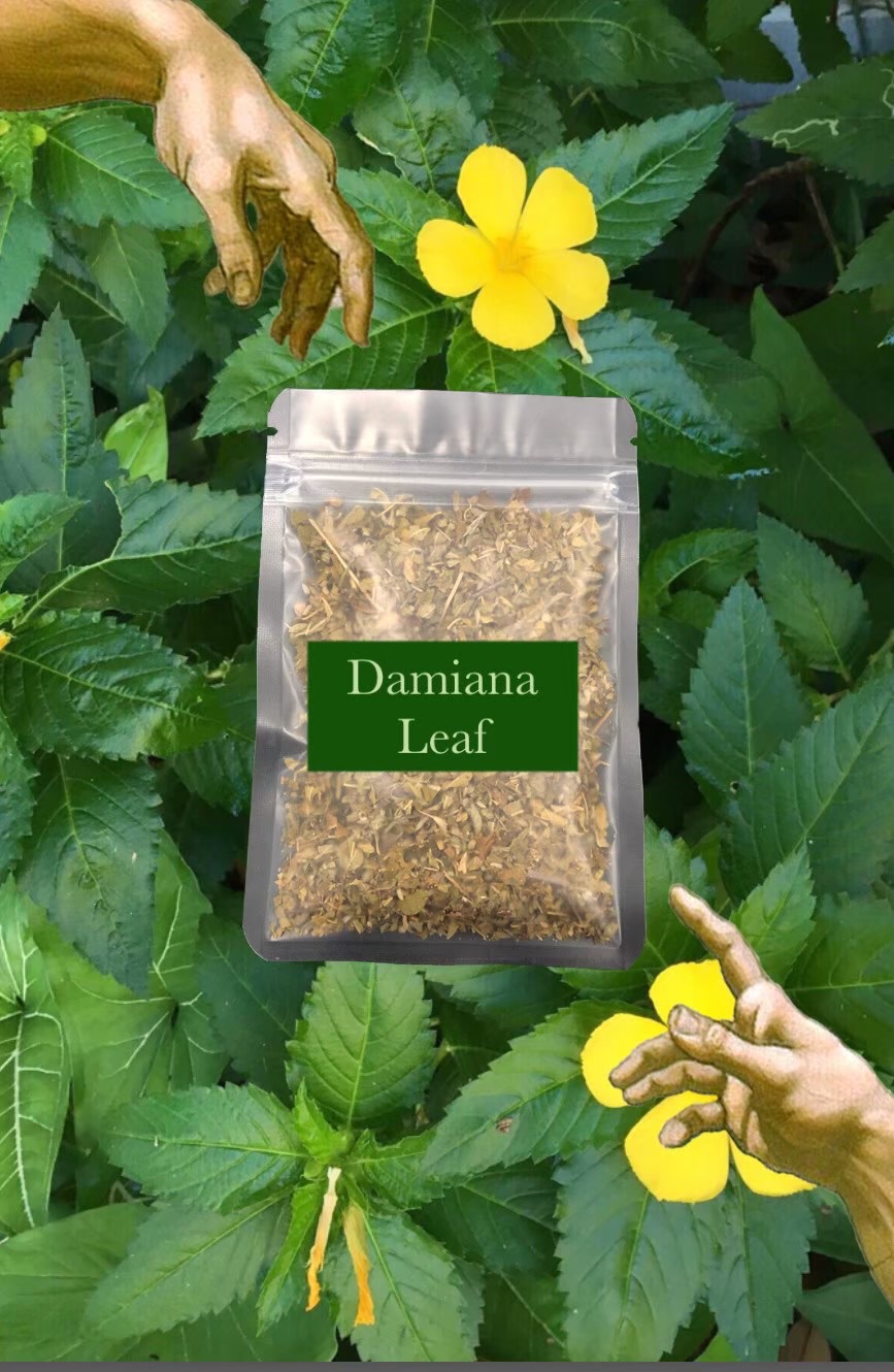 💚透納/達米阿那（Damiana）透納葉 多規格