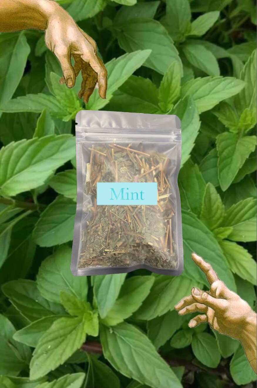 🍃Mint 薄荷碎 10g