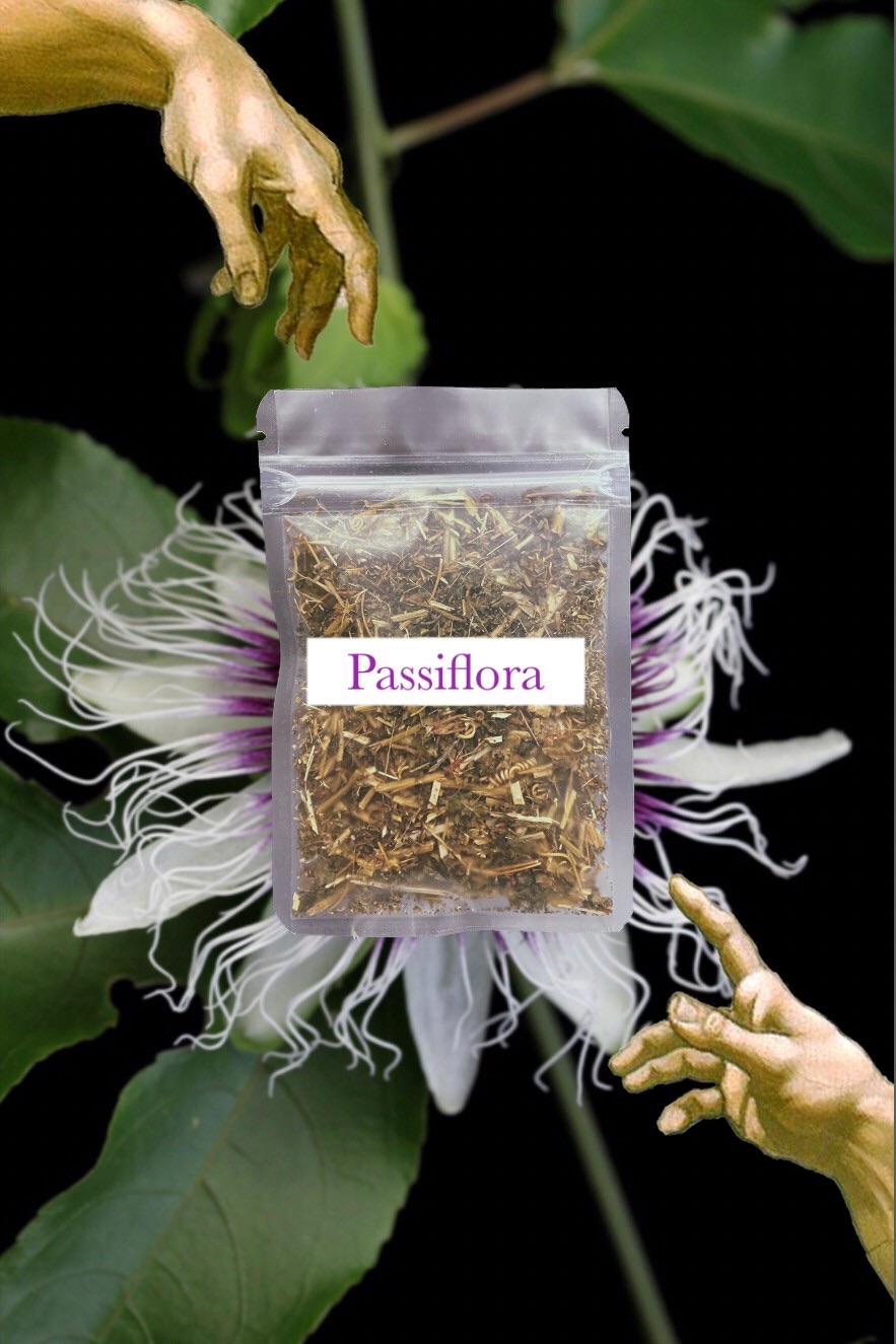 🧘🏻Passifloa  （Passiflora edulis）西番蓮