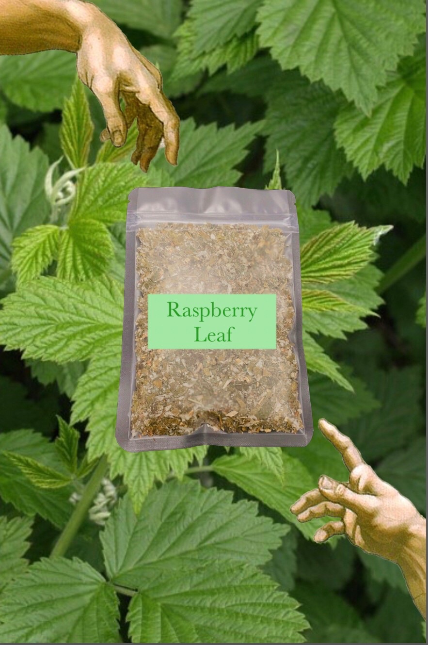 🌿berry leaf 覆盆子葉