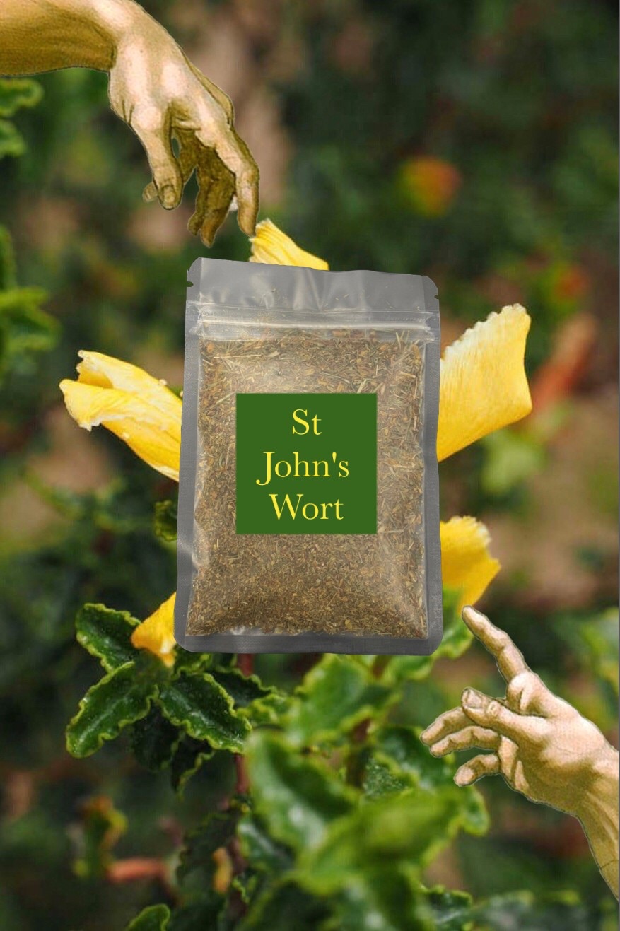 🍂 St John’s wort聖約翰草 忘憂草