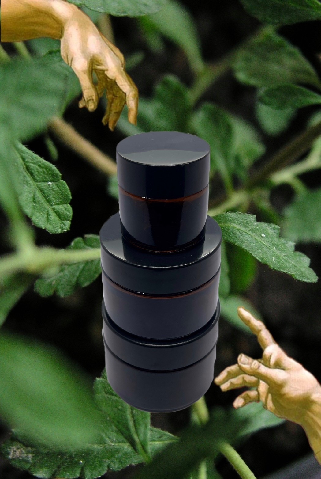 草本收納玻璃罐 🪫 附蓋 多種尺寸 衛生 防發霉腐爛 延長草本期效