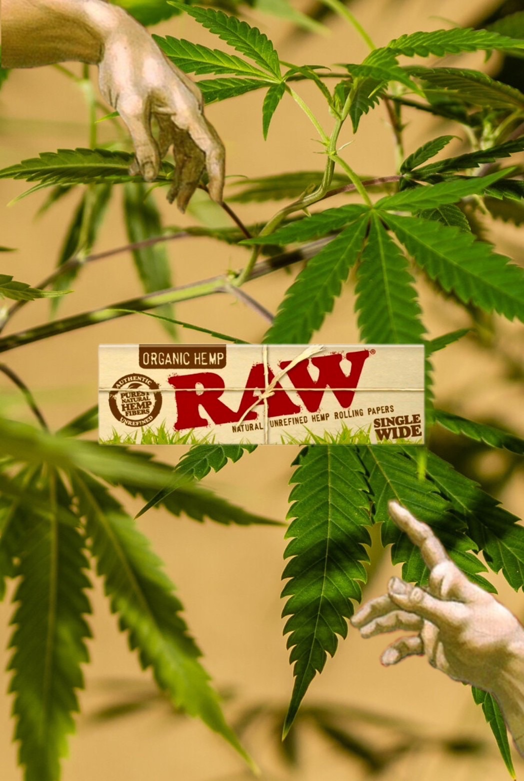 💥 RAW捲紙