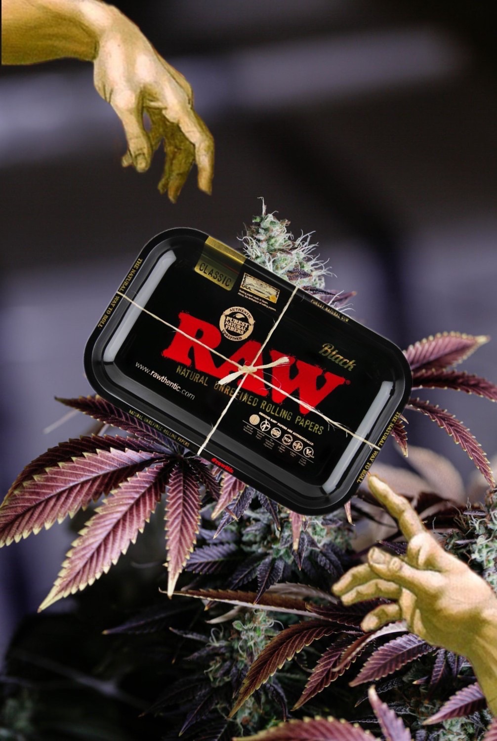 🪗￼Raw 鐵盤180mm 黑紅