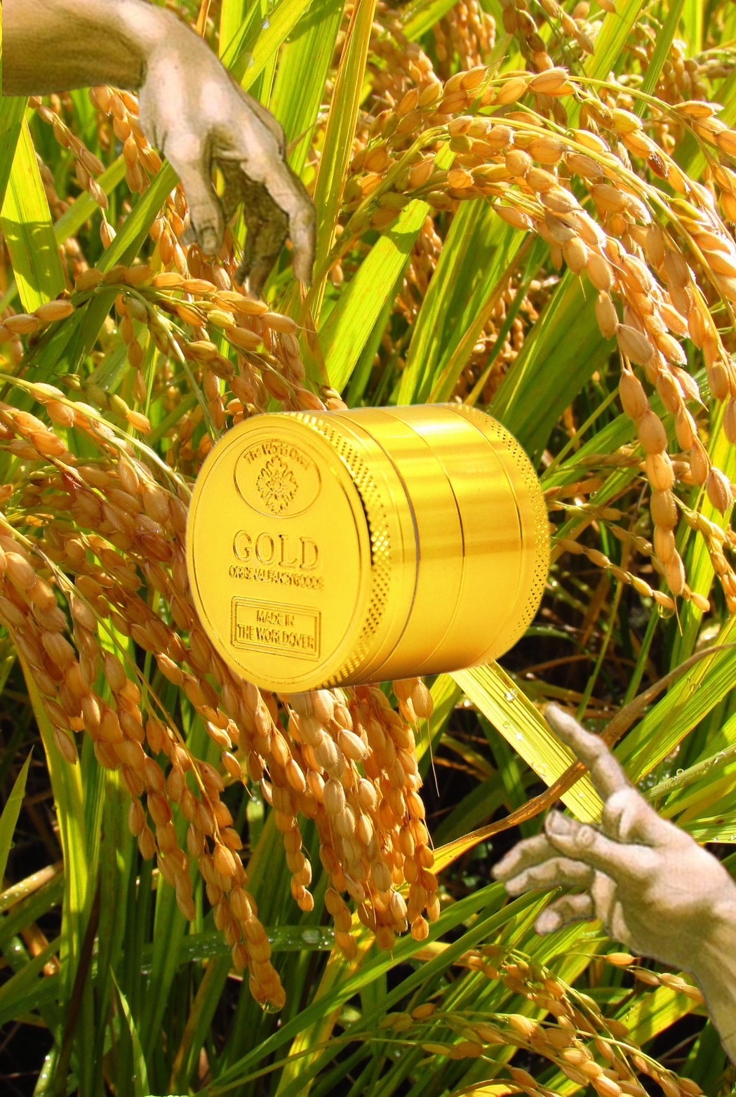 Gold 草本研磨器 💰 大容量50MM 草本磨器