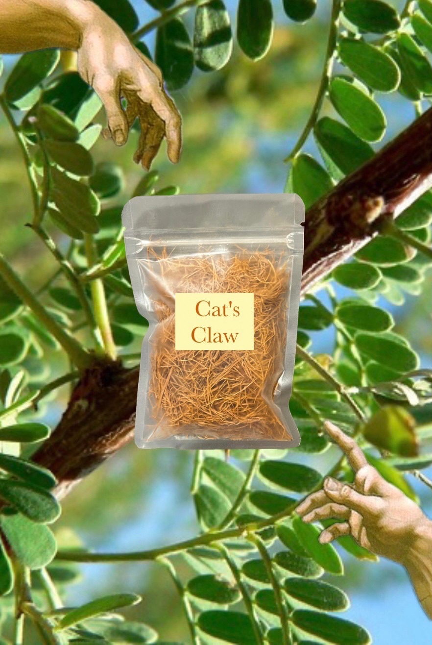 🪵🐈 Cat’s Claw Bark 貓爪藤 30g 雨林珍寶