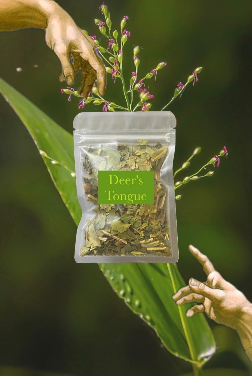 🦌🌿Deer’s Tongue 鹿舌草 10g 清香基底 推薦基底草本