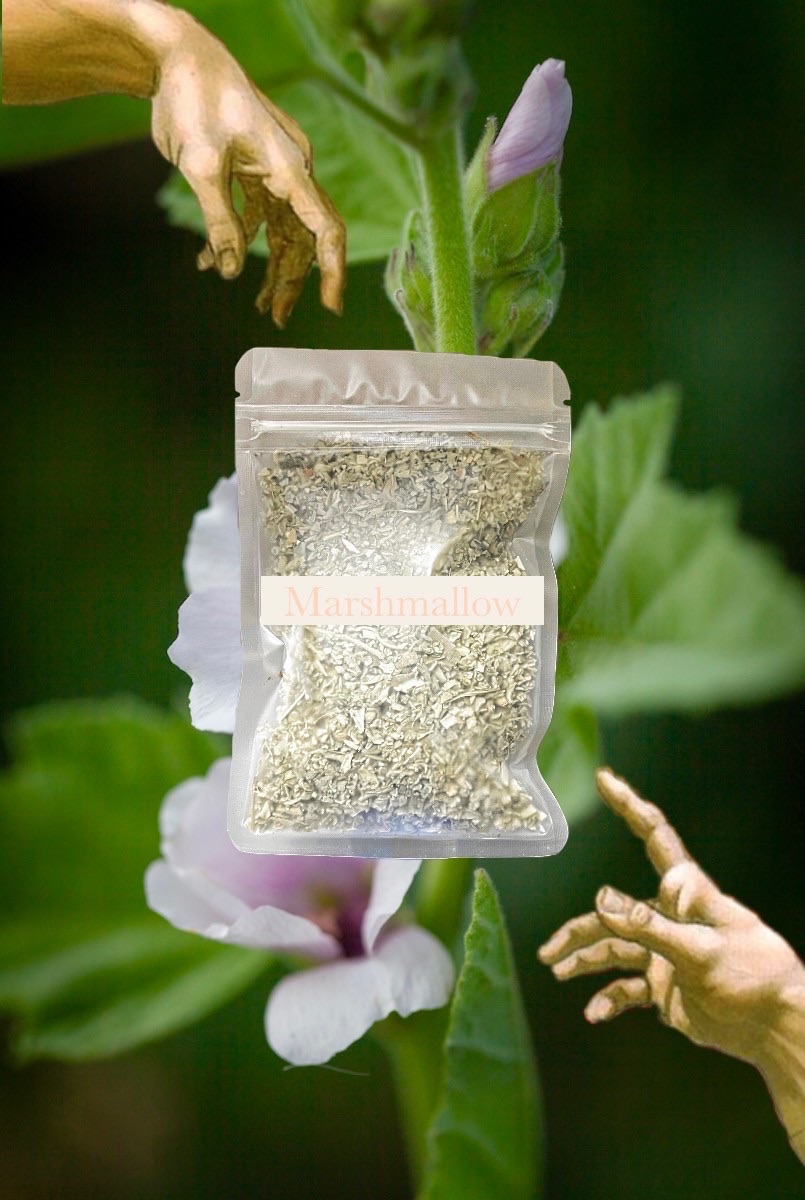 ☘️Marshmallow 藥蜀葵 （棉花糖葉）20g 🌟推薦基底草本
