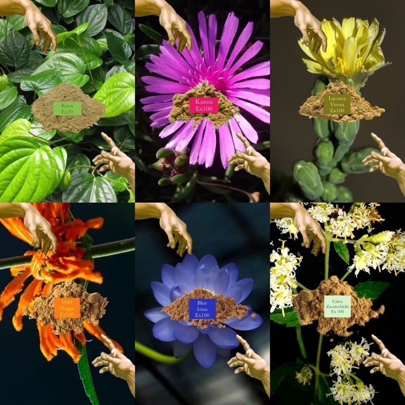 👑👑任選濃縮組合👑👑