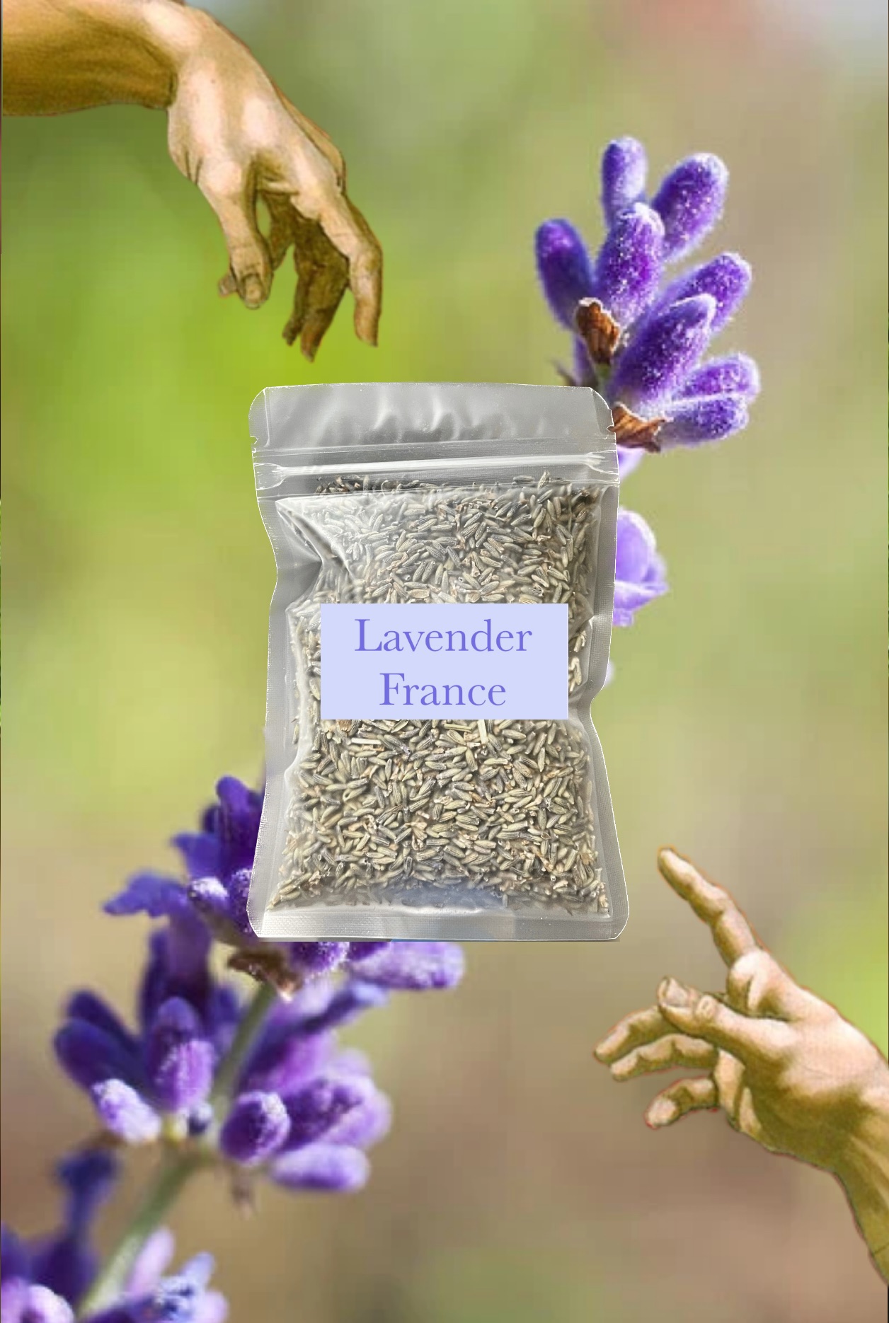 💜 Lavender 法國薰衣草 （真正薰衣草）20g lavandula
