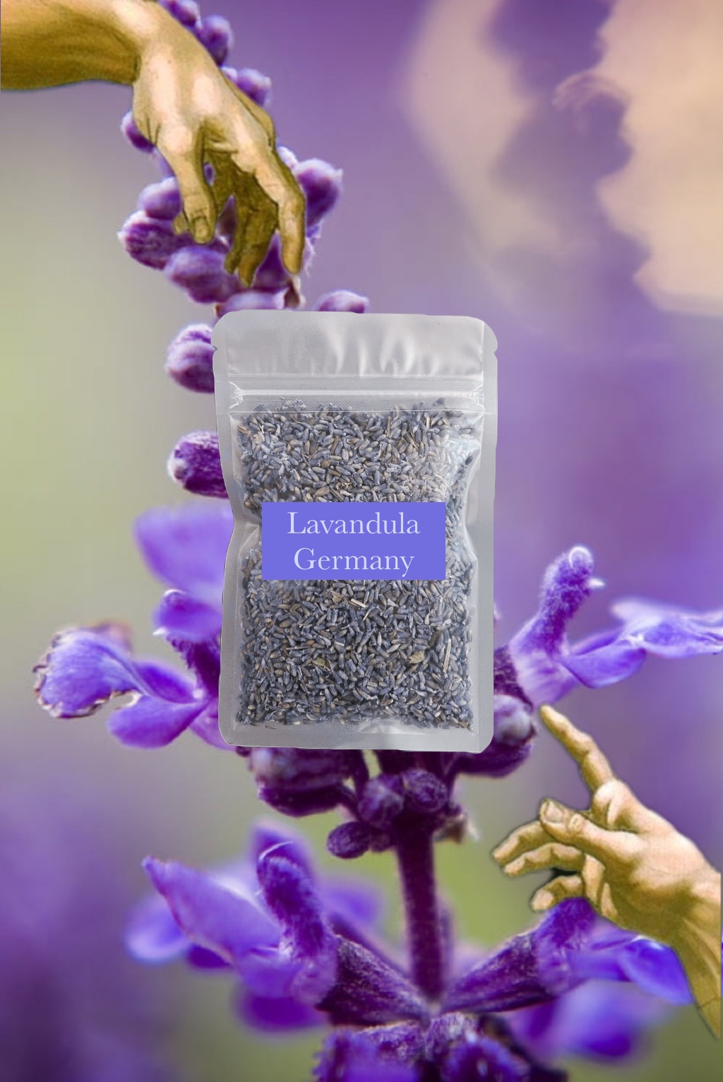 🇩🇪 Lavandula Germany 德國薰衣草 芬芳 有機