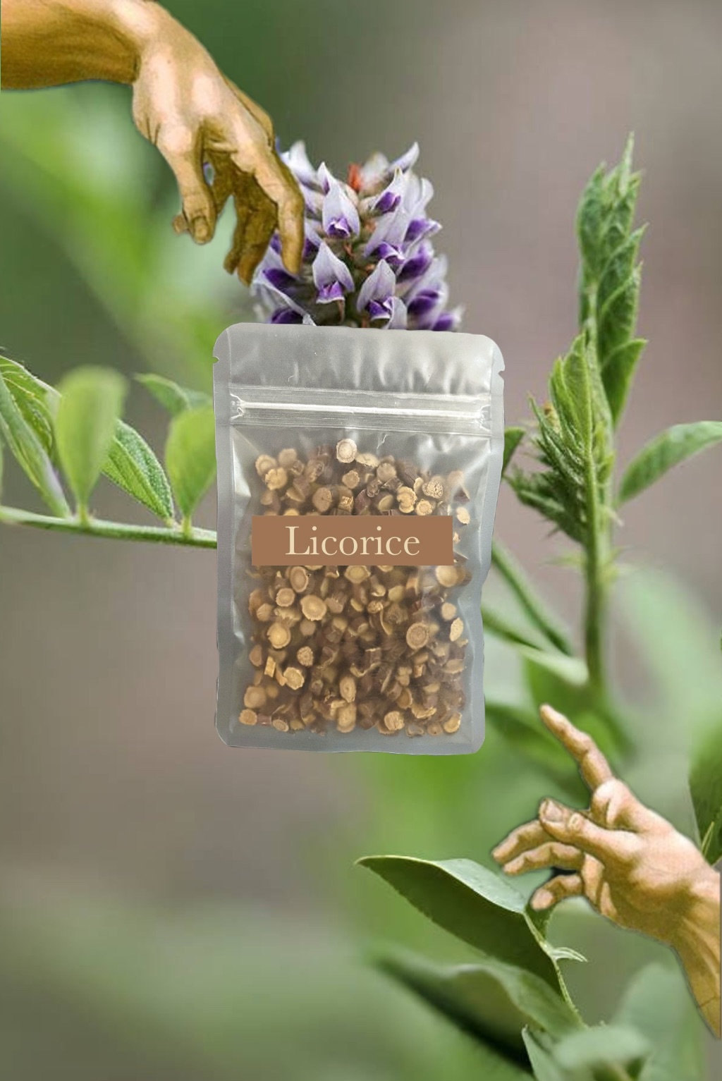 🪵 Licorice 甘草 甘甜 回甘 多規格