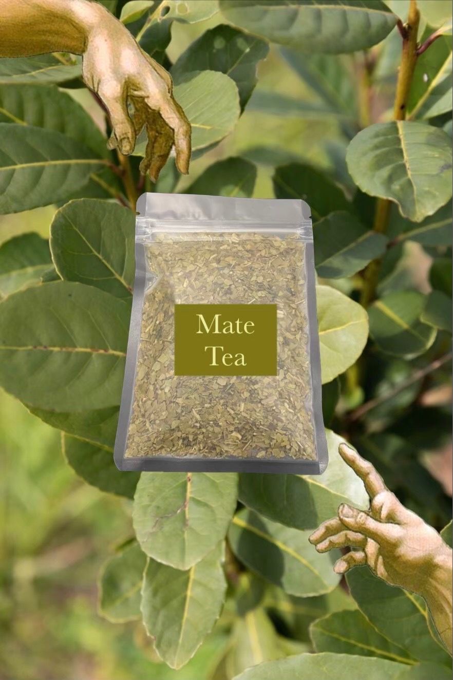🧉 Mate tea 瑪黛茶 國寶茶