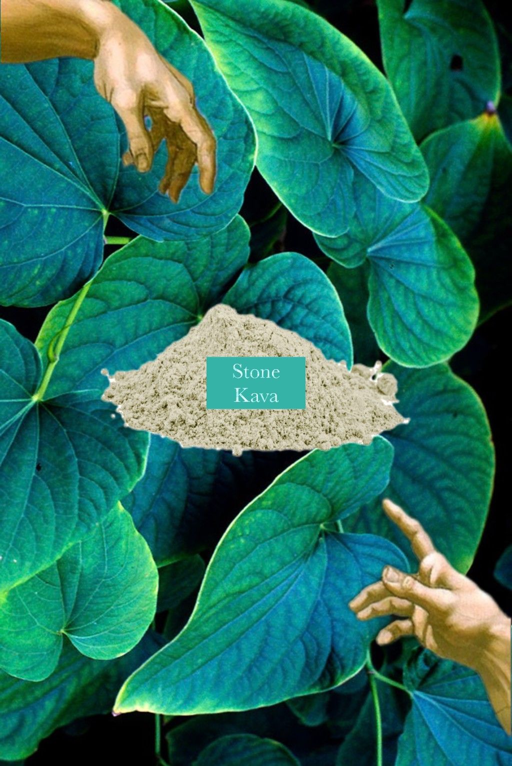 ✅ 石頭卡瓦 Stone kava