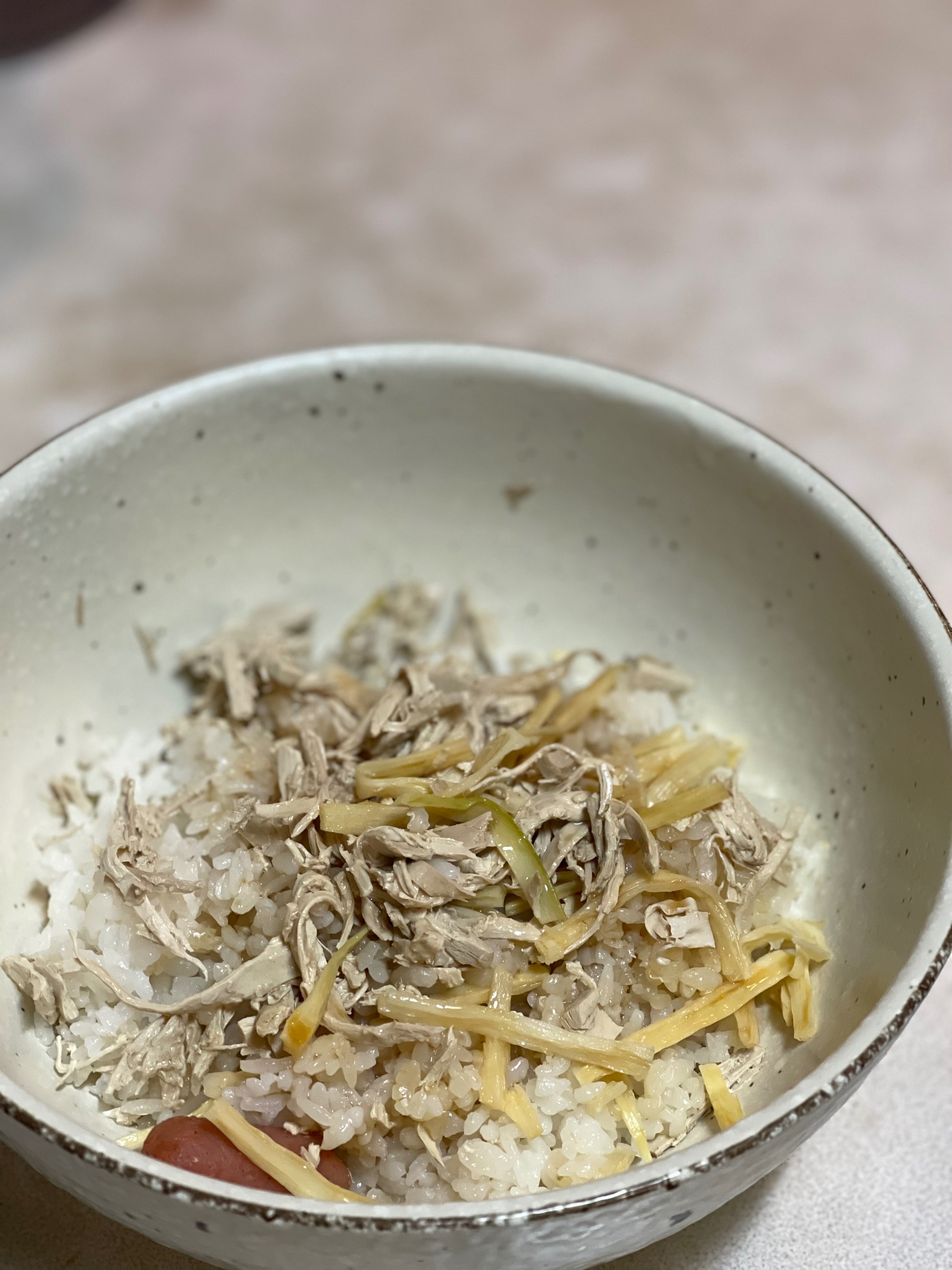 ‼️純素嘉義雞肉飯～豪好吃😱預購商品4/10出貨
