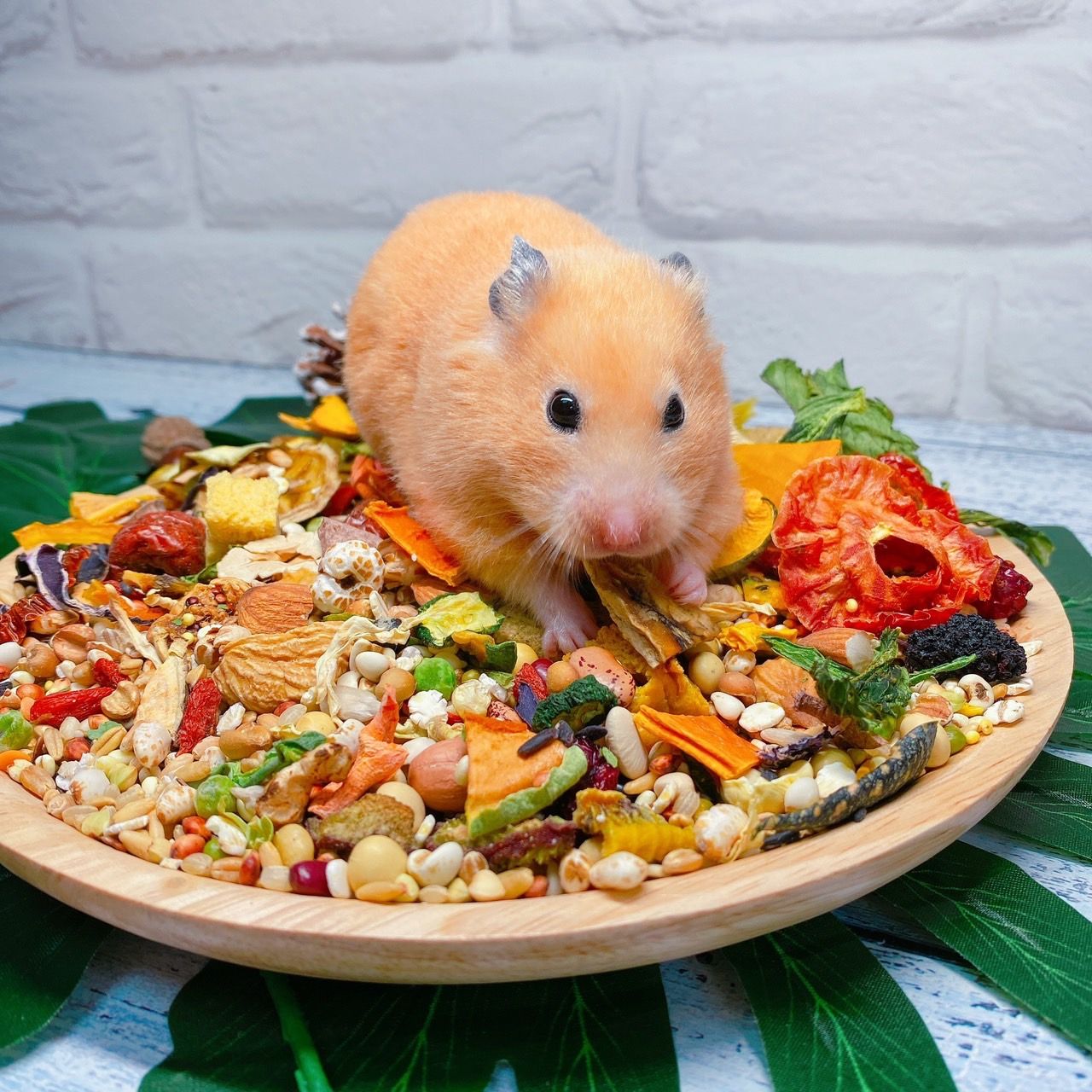 【主食】新鮮出爐【鼠寶向前衝特調主食】鼠食工坊