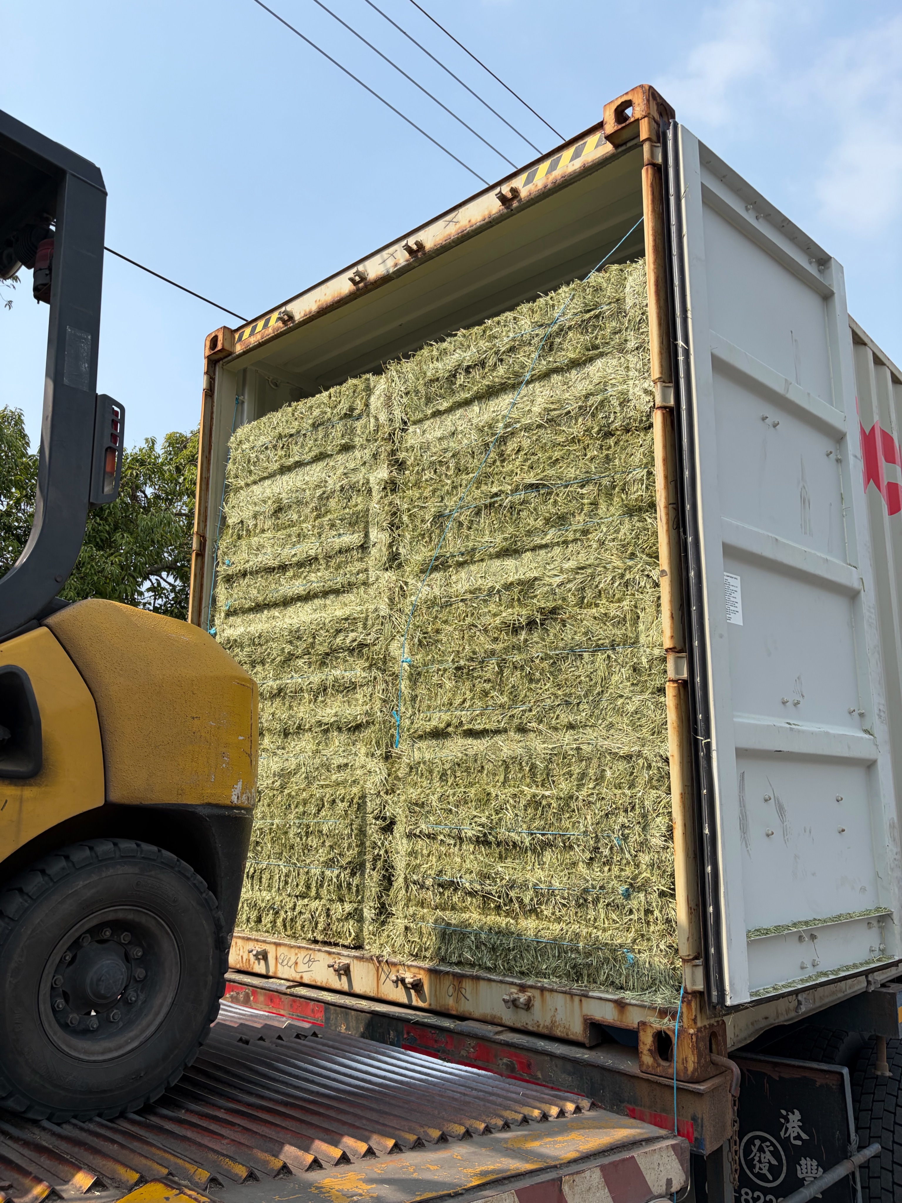 單壓二割優惠專區✨