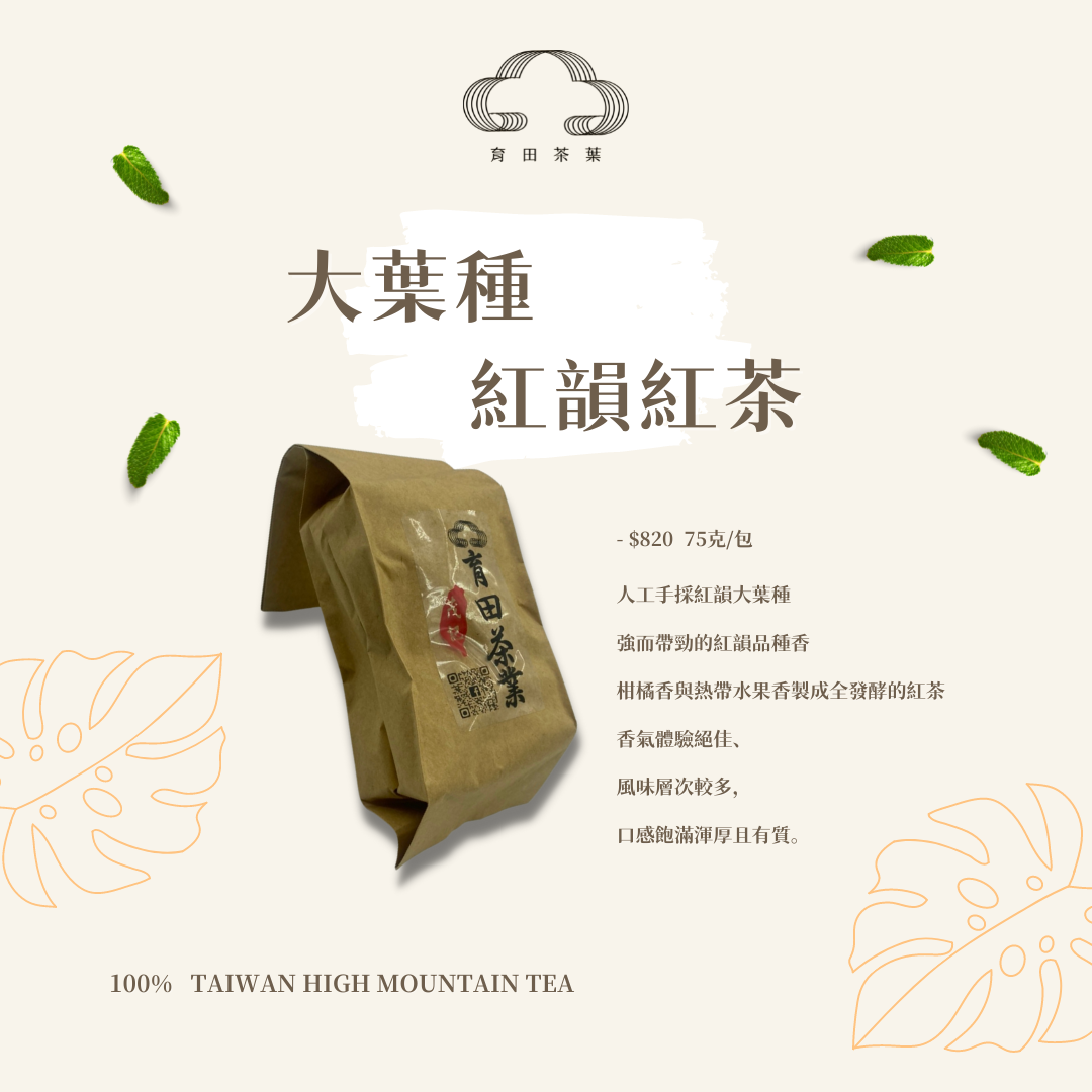 台茶21號 紅韻紅茶【育田職人茶】