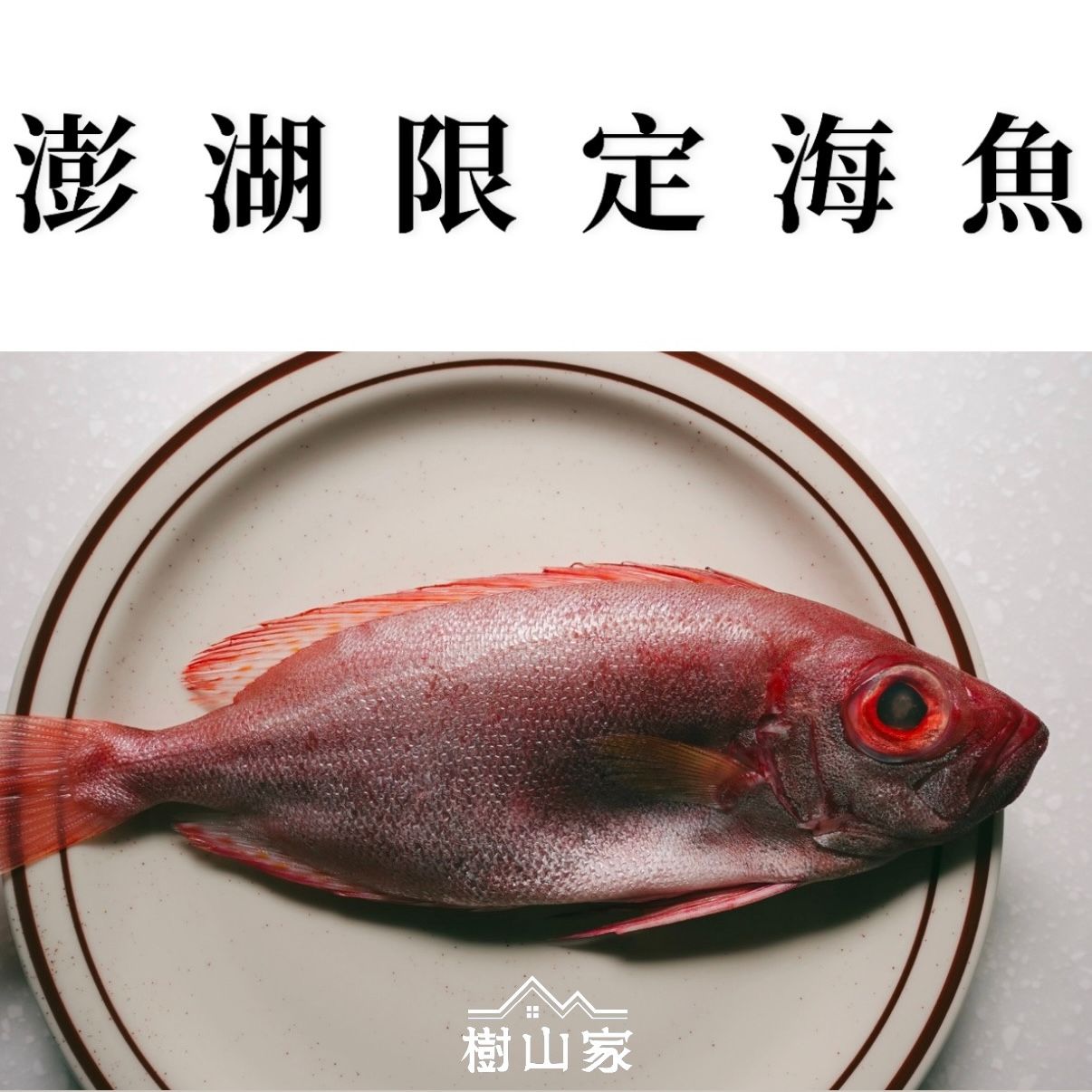 澎湖海魚專區**季節限定海魚