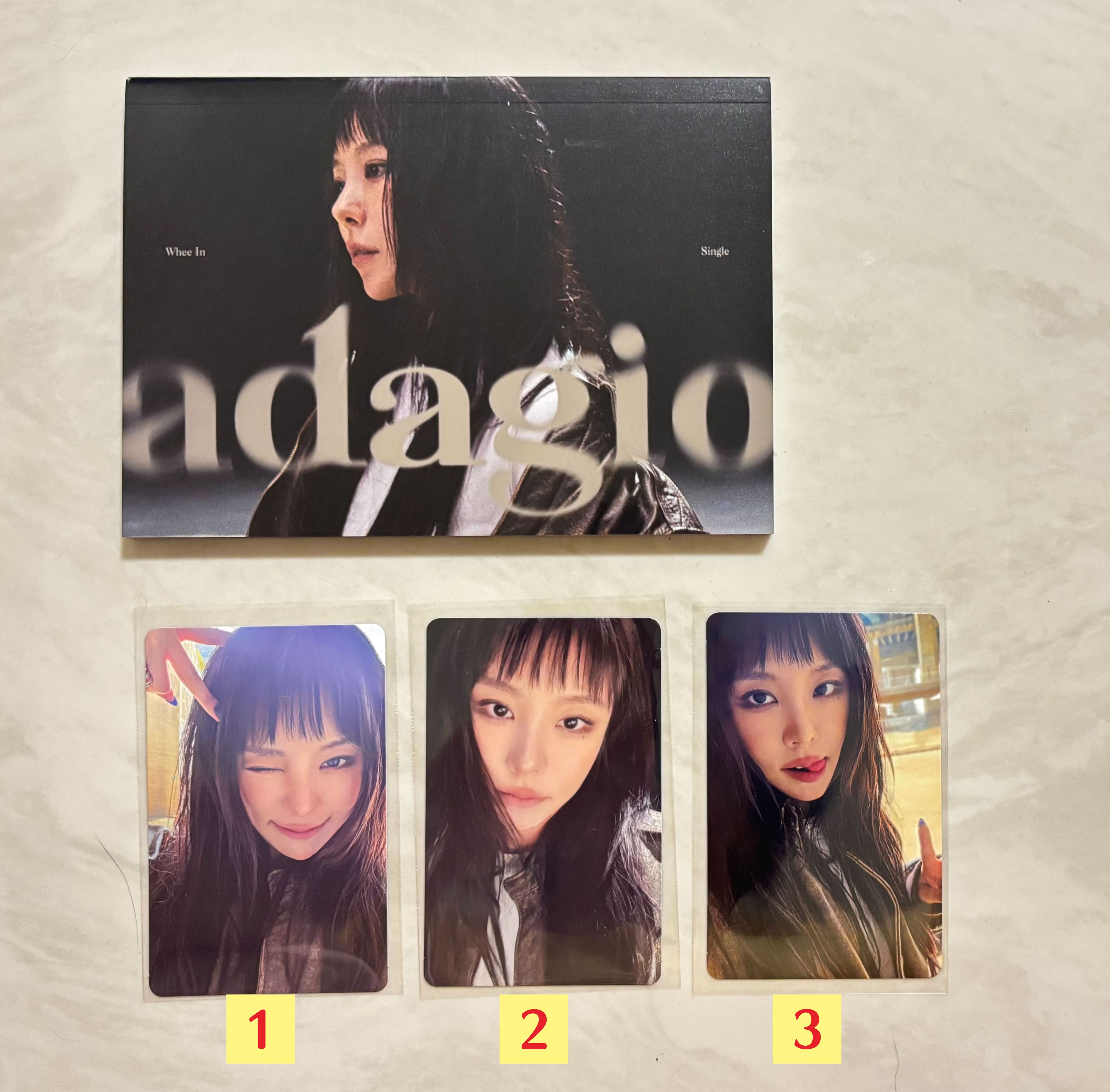 輝人 [adagio] 寫真＆迷你CD版 未拆.已拆.小卡