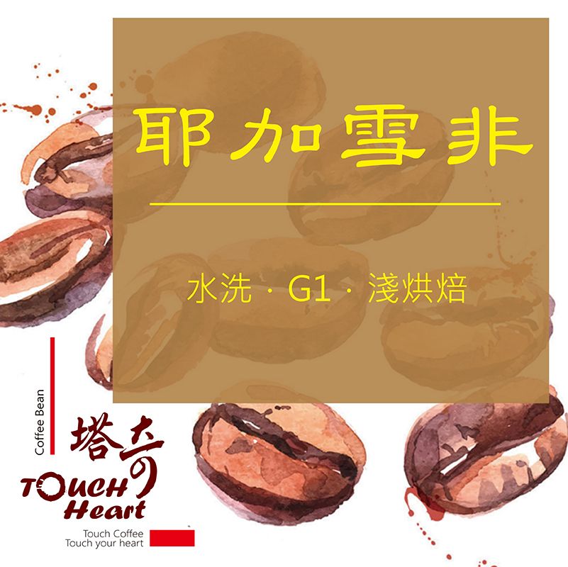 耶加雪非 水洗 G1