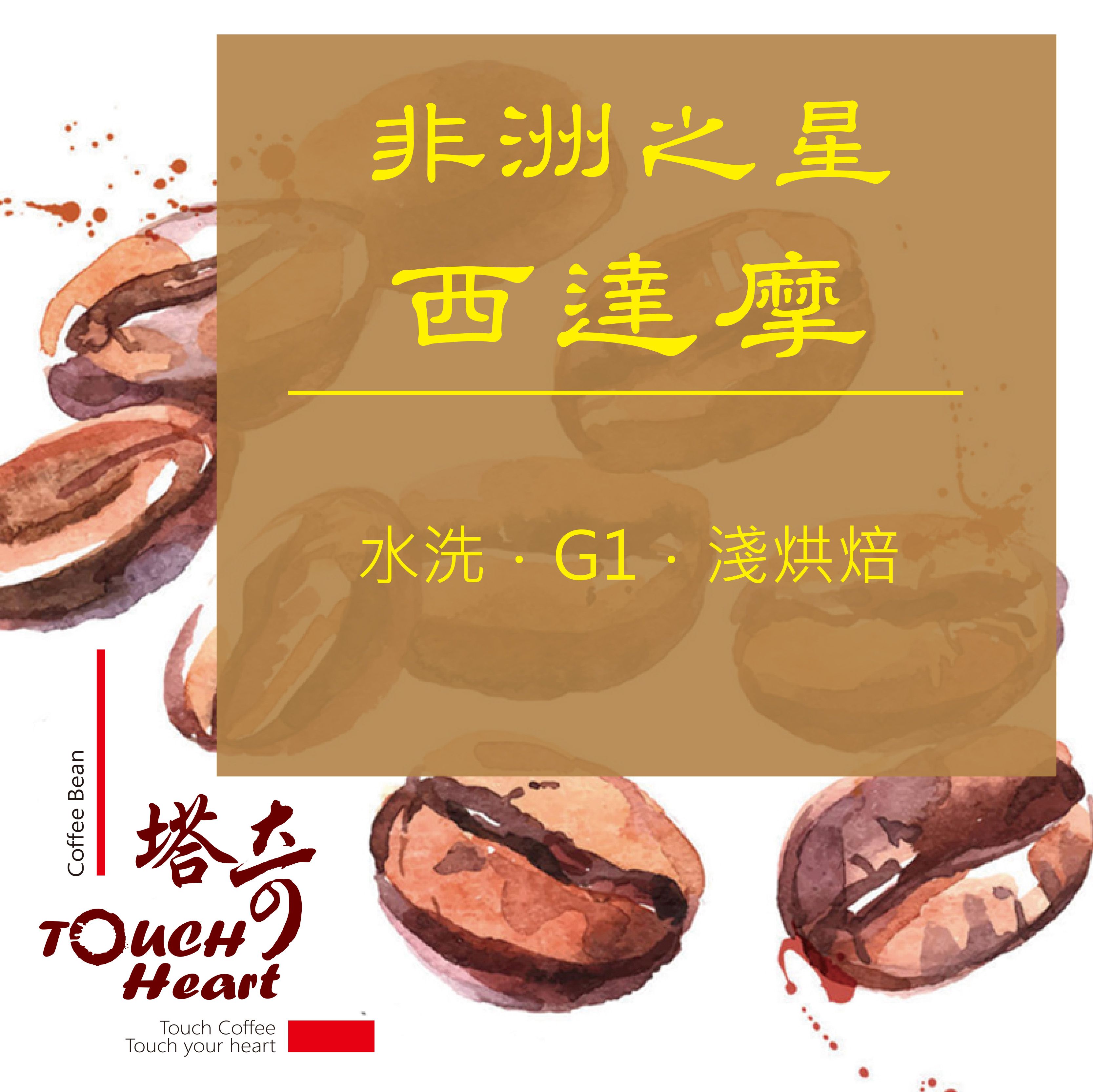 非洲之星－西達摩