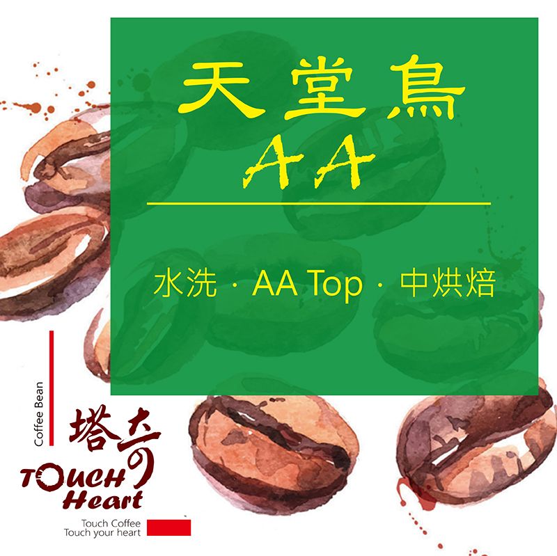 天堂鳥AA