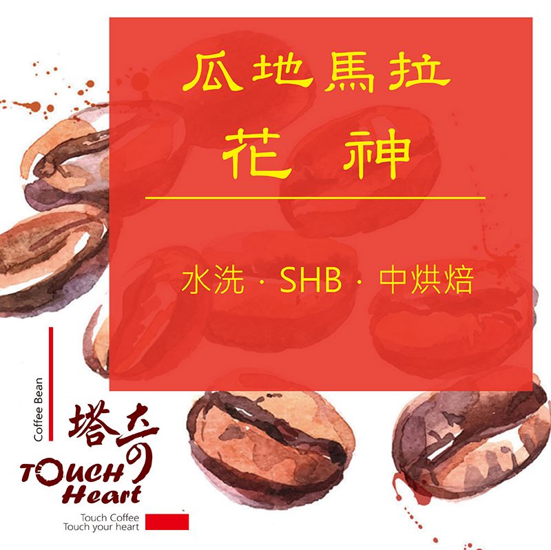 瓜地馬拉花神 水洗