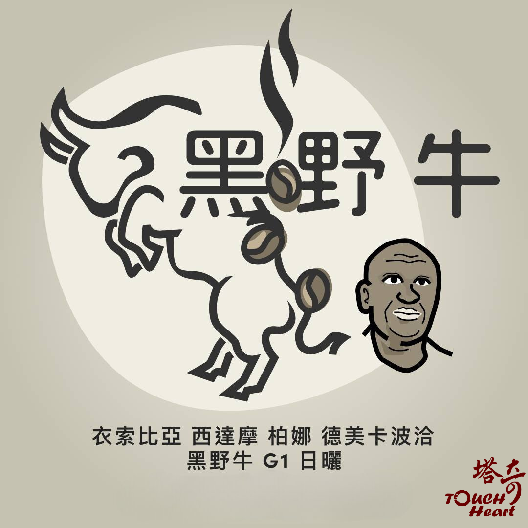 日曬黑野牛