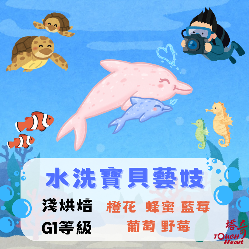 水洗寶貝藝妓 G1