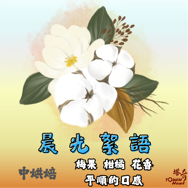晨光絮語