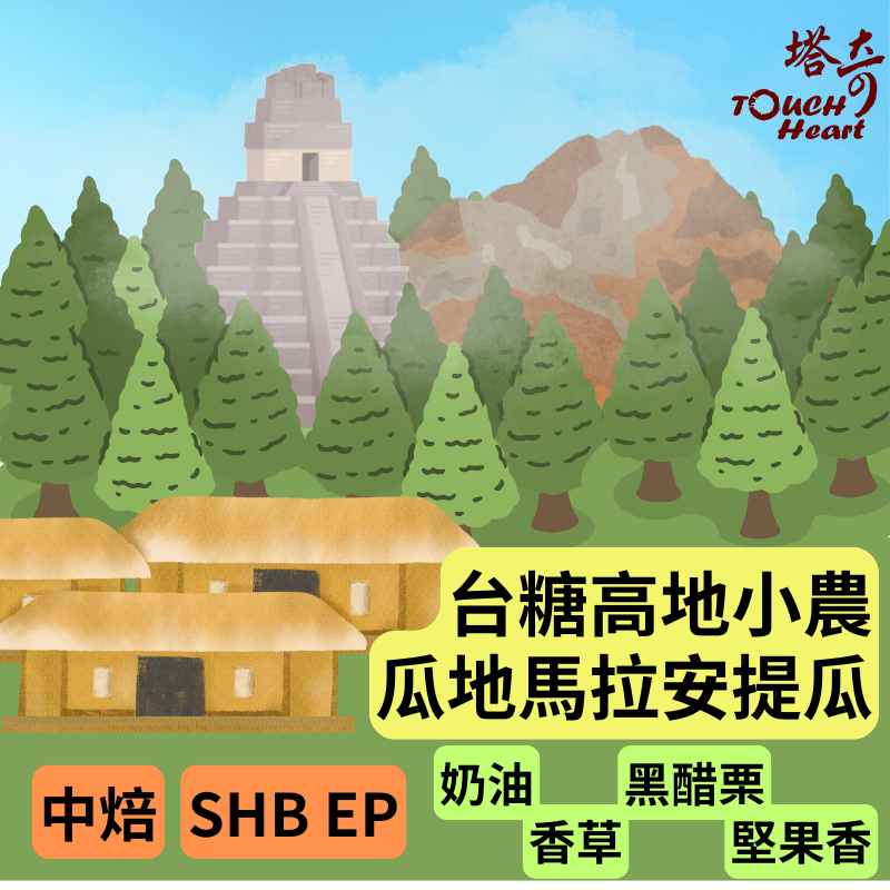台糖小農安提瓜