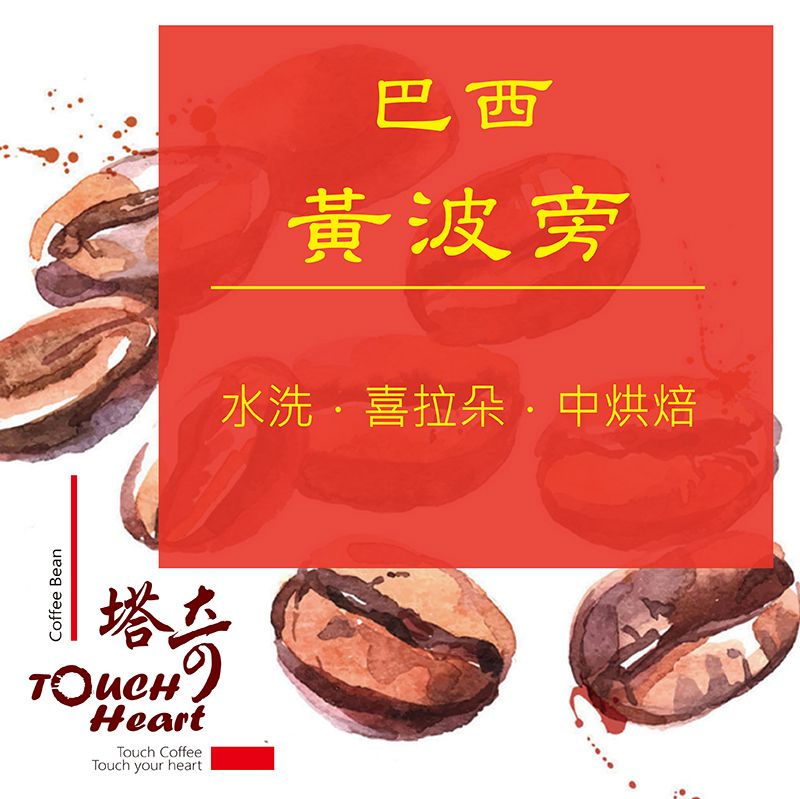 巴西 咖啡豆